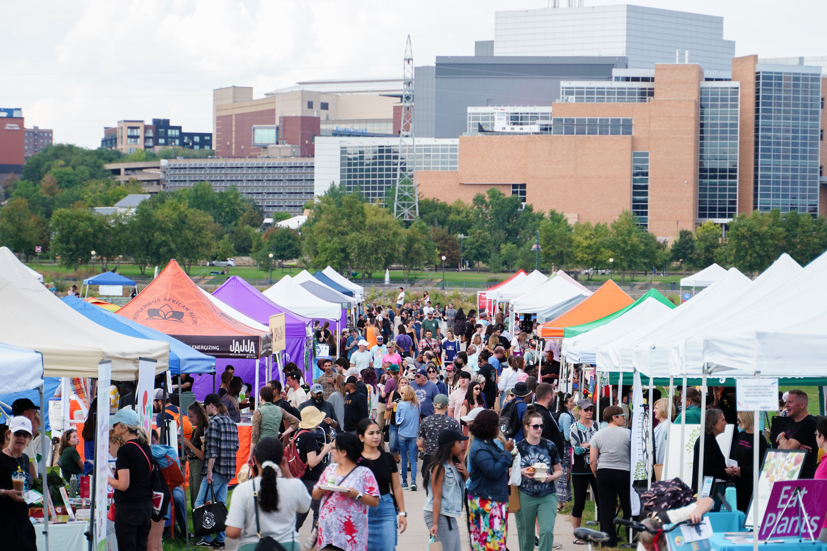 Twin Cities Veg Fest 2024