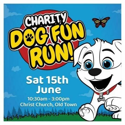 Dog Fun Run Saturday 15th June Swindon Advertiser Events