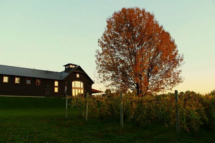 Wine & Cheese Pairing Class at Shelburne Vineyard