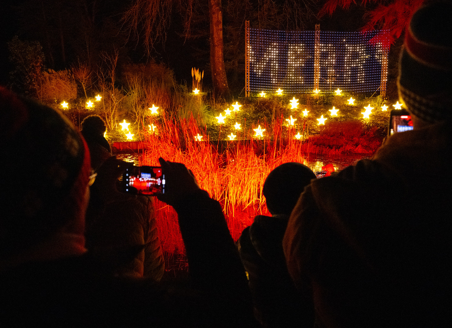 Light Up Sir Harold Hillier Gardens At Christmas - Light Up Sir Harold Hillier Gardens At Christmas
