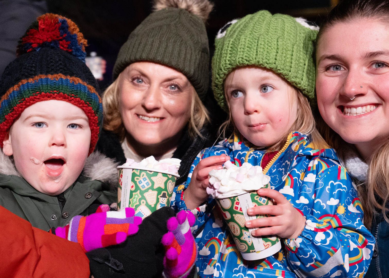 Light Up Sir Harold Hillier Gardens At Christmas - Light Up Sir Harold Hillier Gardens At Christmas