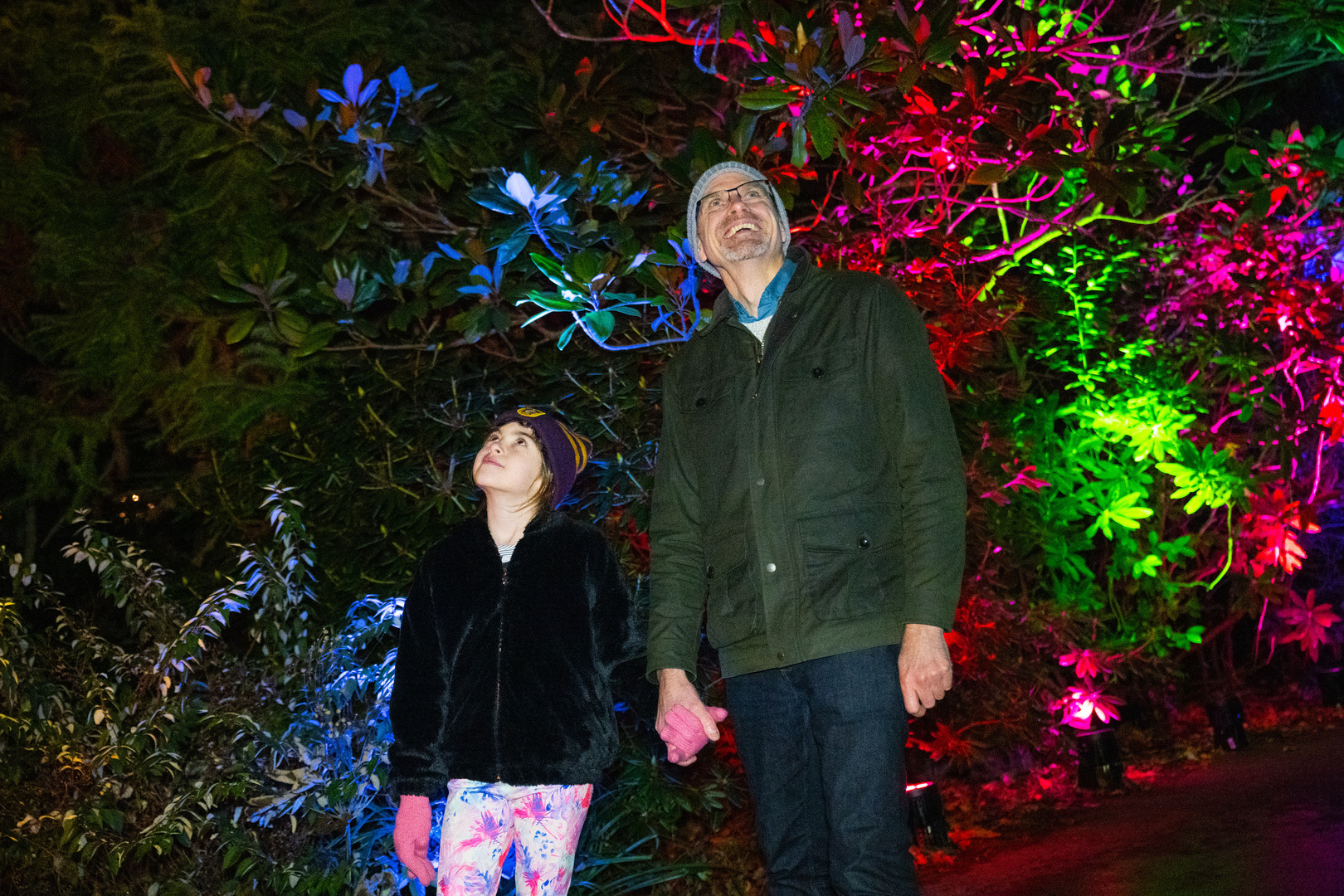 Light Up Sir Harold Hillier Gardens At Christmas - Light Up Sir Harold Hillier Gardens At Christmas
