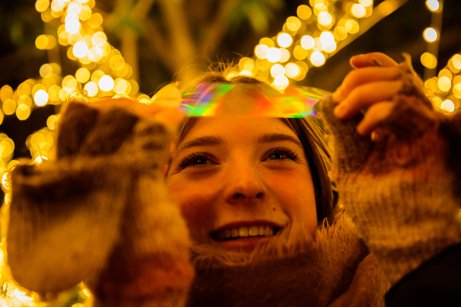 Light Up Sir Harold Hillier Gardens At Christmas - Light Up Sir Harold Hillier Gardens At Christmas