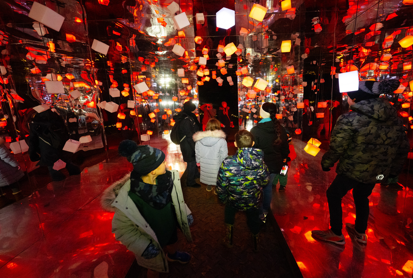 Light Up Sir Harold Hillier Gardens At Christmas - Light Up Sir Harold Hillier Gardens At Christmas