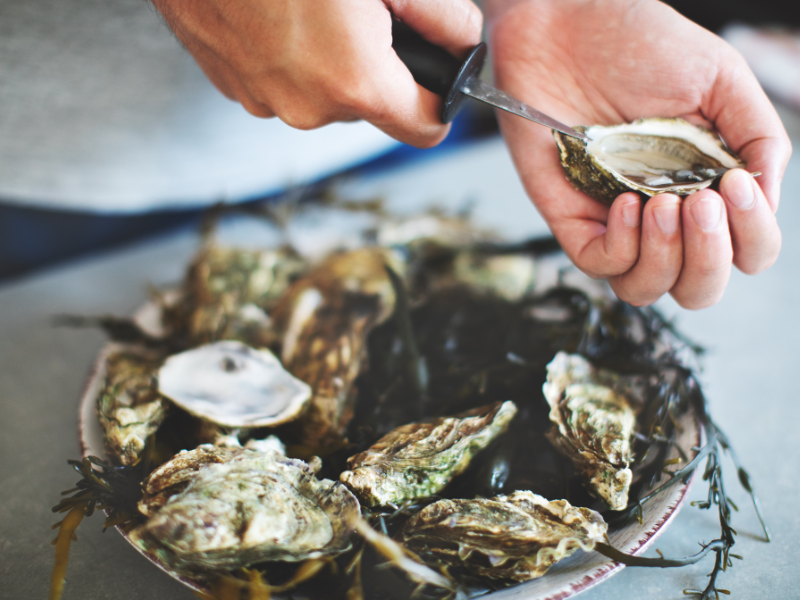 Shuck-A-Rita Workshop