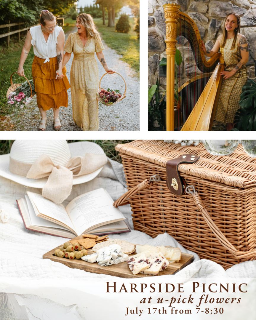 Harpside Picnic at U-Pick Flowers
