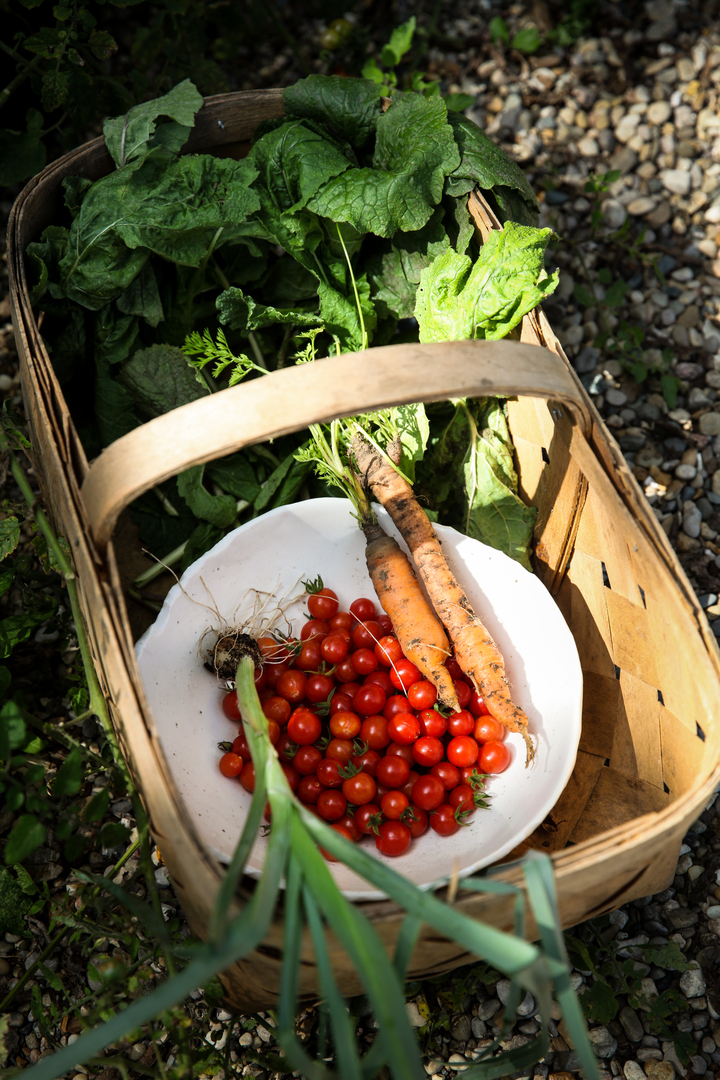 Summer Harvest Dinner
