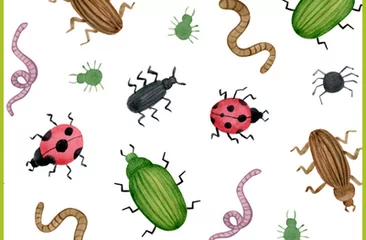 MyNorth Events - Bugz!