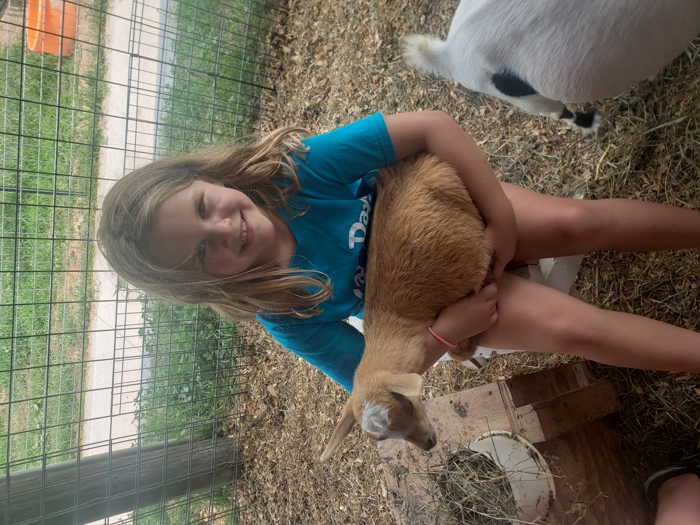 Benton Farm Fall Craft Show - Benton Farm Fall Craft Show