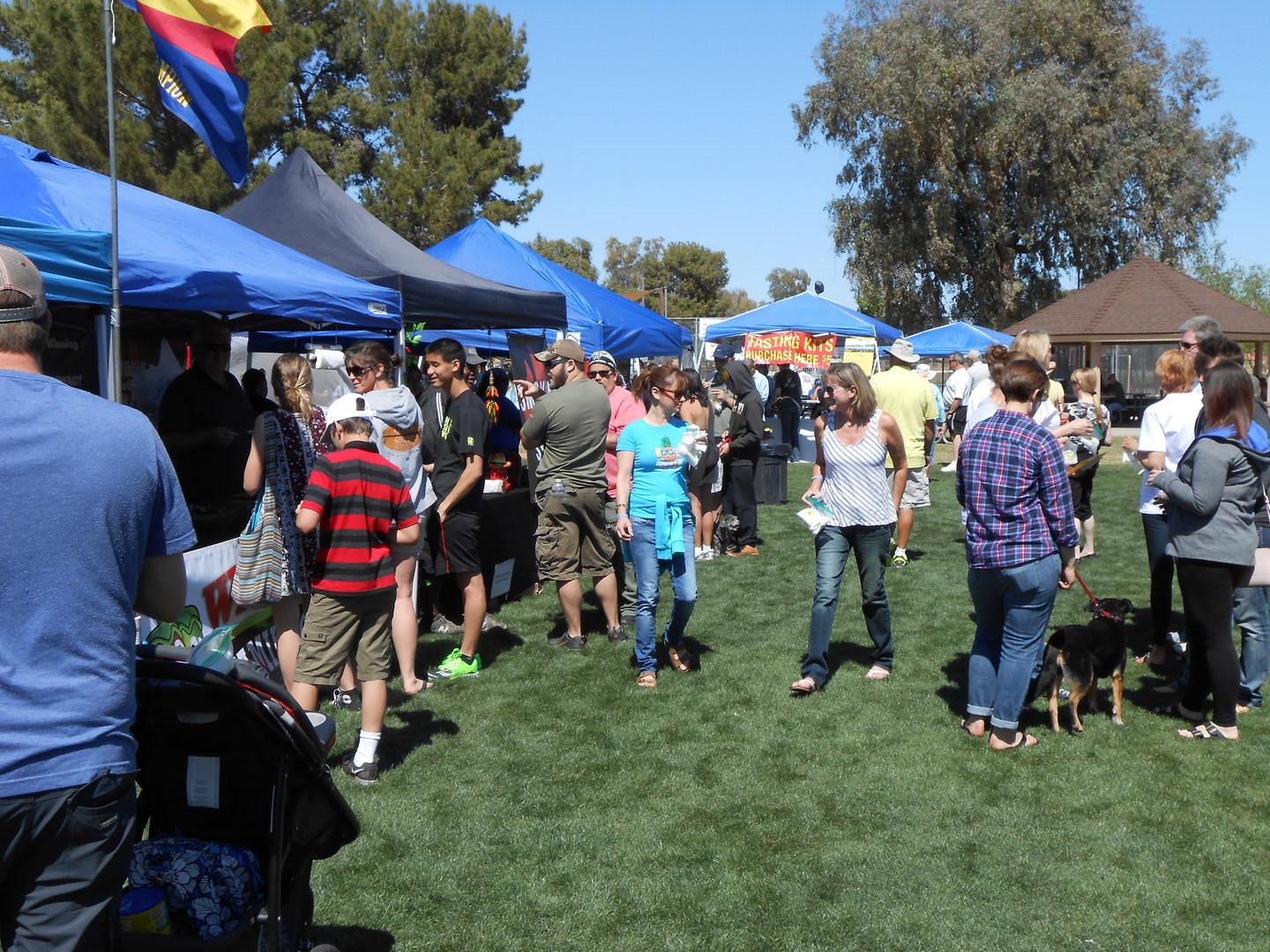 Ahwatukee Chili Cook Off and Carnival - Ahwatukee Chili Cook Off and Carnival